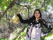 Іруся Лукащук фотография #21 (источник - https://vk.com/id11101541)