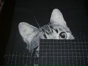 Вікторія Сілласоо фотография #28 (источник - https://vk.com/id7361149)