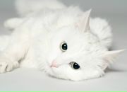 Фотография Кондратюк Вероники