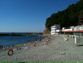 Atakan Avcı фотография #38 (источник - https://vk.com/id19319220)