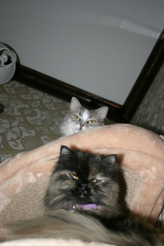 Сандра Ищенко фотография #5