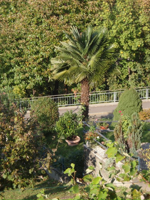 Дмитрий Алексеев фотография #23