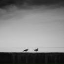 Фотография Гилевой Лары