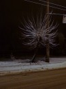Євген Римар фотография #34 (источник - https://vk.com/id21081728)
