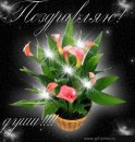 Альона Кобелєва фотография #2 (источник - https://vk.com/id38379066)