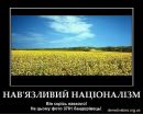 Іван Нечитайло фотография #10 (источник - https://vk.com/id29184553)