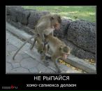 Андрій Сидлярук фотография #42 (источник - https://vk.com/id97035680)