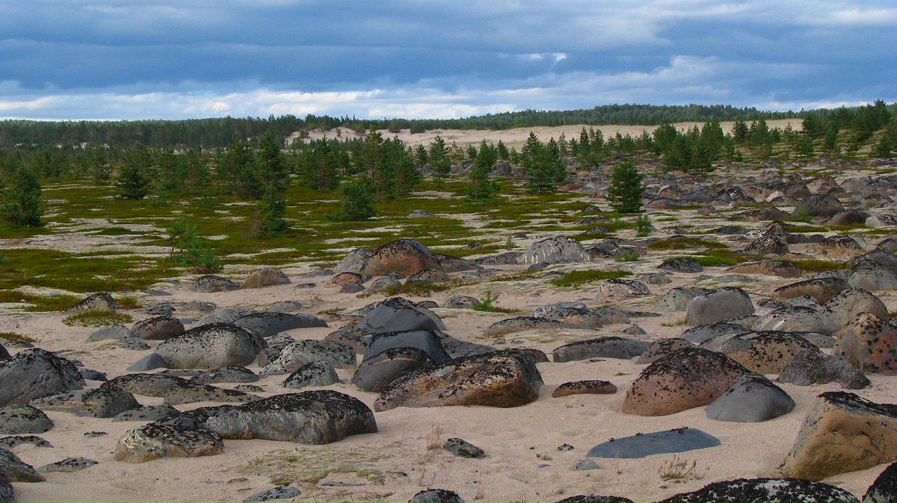 Эйно Роц фотография #15