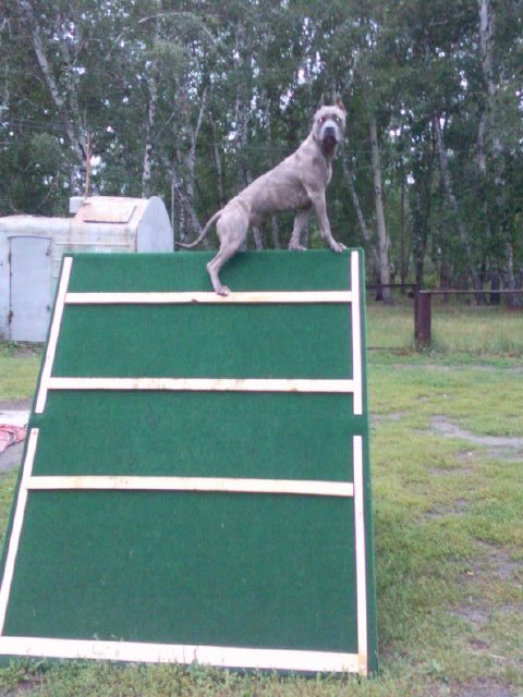 Andrei Kat фотография #15