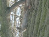 Фотография Павловой Анны