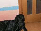 Фотография Мясоедова Дмитрия