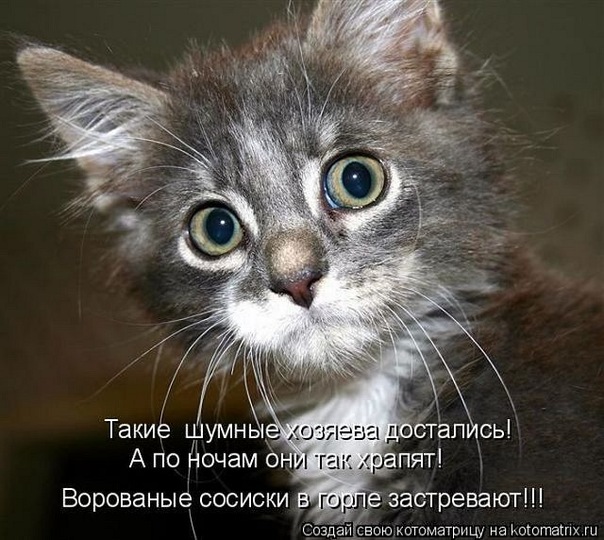 Александр Поляков фото №44