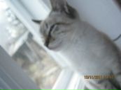 Таня Чайківська фотография #8 (источник - https://vk.com/id132647977)