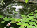 Αлексей Κнязев фотография #5 (источник - https://vk.com/id138685074)