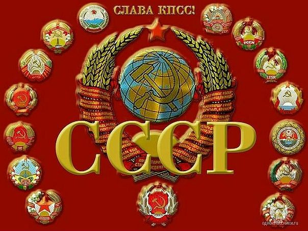 Дмитрий Горбачёв фото №35