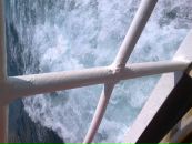 Данило Ваврів фотография #22 (источник - https://vk.com/id66788009)