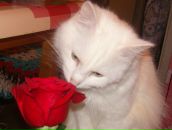 Фотография Гончаровой Натальи