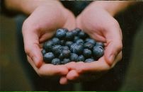 Фотография Ромилиной Юлии