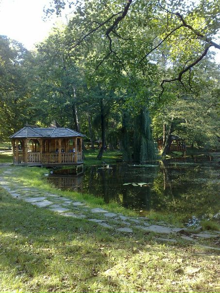 Александр Самчук фото №23