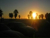 Міша Лещенко фотография #36 (источник - https://vk.com/id57901794)