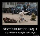 Олександр Коліс фотография #28 (источник - https://vk.com/id87375678)