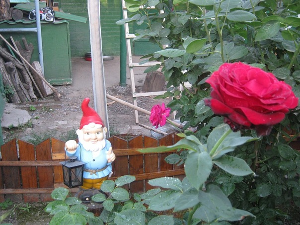Рит@ С@идов@ фото №23