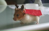 Фотография Панфиловой Катерины