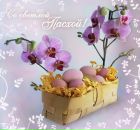 Кєда Алініна фотография #21 (источник - https://vk.com/id21397331)