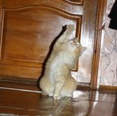 Фотография Масная Анастасия