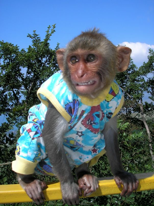 Вадим Ка фотография #16