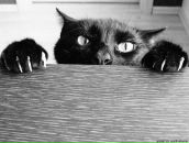 Фотография Маятникова Руслана