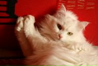 Фотография Большаковой Натальи