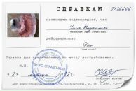 Фотография Bayramov Zaur