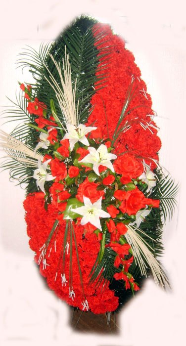 Марк Тёмин фотография #42