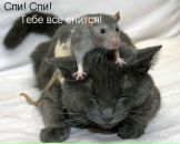 Юлічка Глива фотография #46 (источник - https://vk.com/id10414143)