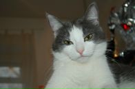 Юра Прокопів фотография #4 (источник - https://vk.com/id14965436)