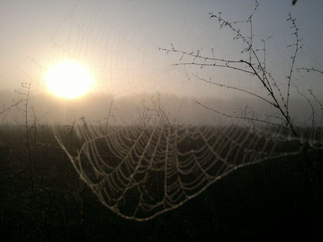 Иван Рудаков фотография #28