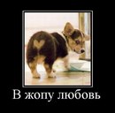 Саша Сірік фотография #36 (источник - https://vk.com/id162005491)