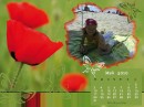 Анна-вікторія Мотика фотография #49 (источник - https://vk.com/id82494594)
