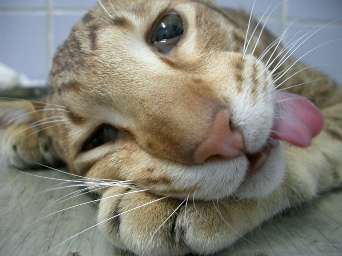 Мария Чернова фотография #24