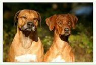 Фотография Горбатюк Анны