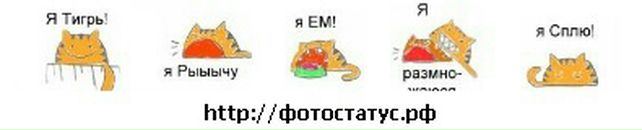 Інна Коногорова фотография #46 (источник - https://vk.com/id29727475)