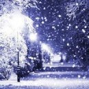 Жанна Щічко фотография #29 (источник - https://vk.com/id133268671)