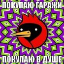 Катько Бирюкова фотография #28 (источник - https://vk.com/id26086263)