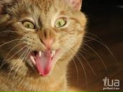 Павел Κозлов фотография #1