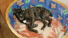 Фотография Марченко Надежды