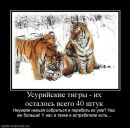 Ірина Шаранюк фотография #18 (источник - https://vk.com/id11624498)