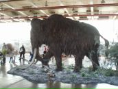 Юрій Юраш фотография #3 (источник - https://vk.com/id70214532)