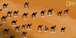 Олександр Заячківський фотография #23 (источник - https://vk.com/id48060820)