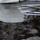 Марічка Кіцюня фотография #40 (источник - https://vk.com/id149621900)